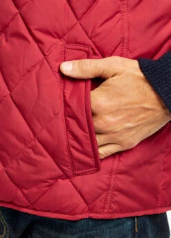 Dubarry Davis Quilted Gilet - Cardinal -Dubarry Sales 350156 41lOW057BIXfX7