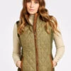 Dubarry Juniper Tweed Gilet - Elm -Dubarry Sales 421267 03